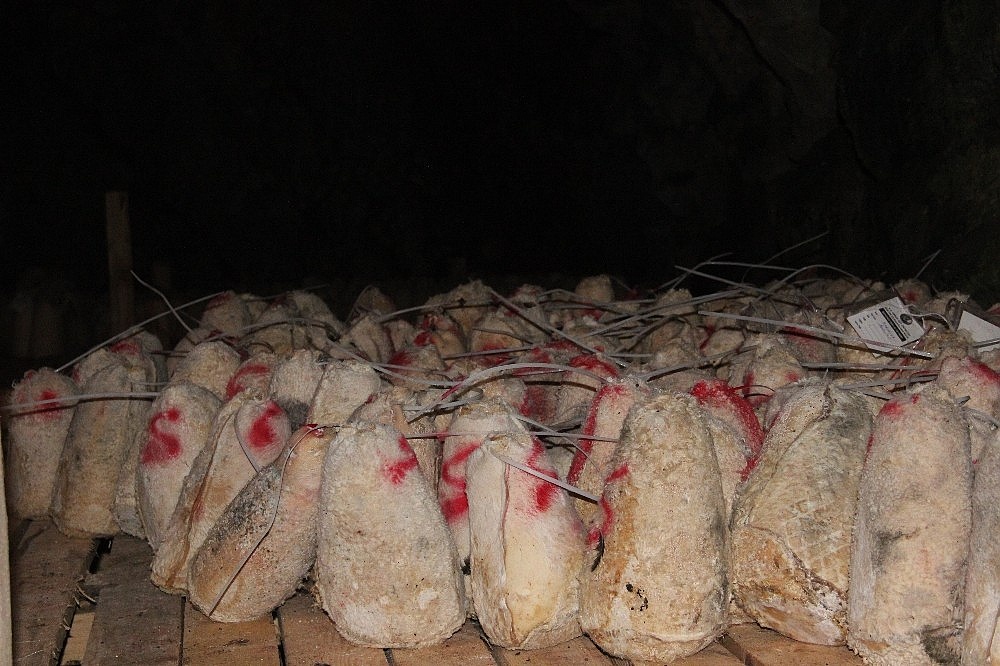 Yerin 39 metre altında Doğal peynire mağarada doğal olgunlaştırma