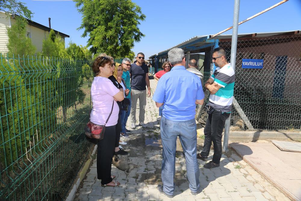 HAYVANSEVERLERDEN BARINAĞA ZİYARET