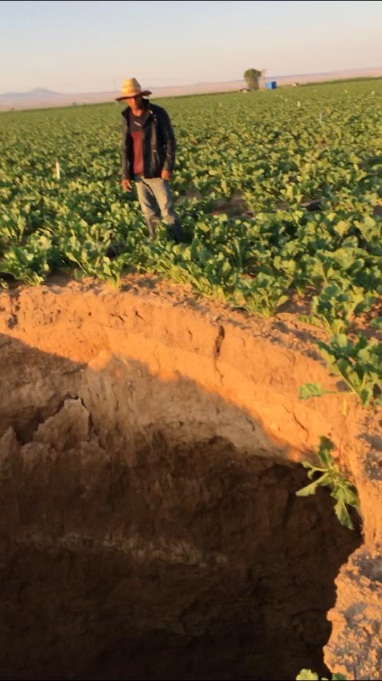 Karaman da Pancar tarlasında bir anda 10 metrelik obruk oluştu