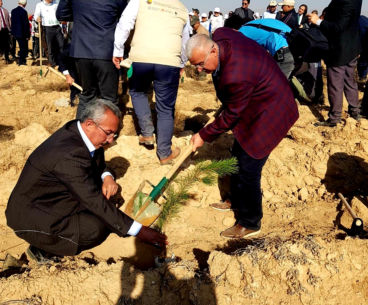 ÇAĞLAYAN:AĞAÇ DİKMEK FİİLİ BİR DUADIR