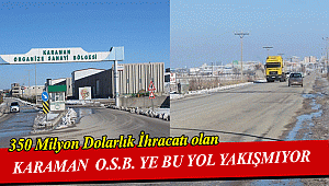 350 Milyon Dolar İhracatı Olan Organize Sanayi Bölgesine Bu Yol Yakışmıyor