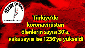 Türkiye'de koronavirüsten ölenlerin sayısı 30'a, vaka sayısı ise 1236'ya yükseldi