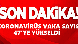 TÜRKİYEDE'Kİ KORONAVİRÜS VAKA SAYISI 47'YE YÜKSELDİ