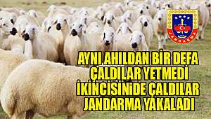 AYNI AHILDAN BİR DEFA ÇALDILAR İKİNCİSİNDE JANDARMA YAKALADI
