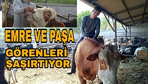 Karamanlı genç ve Boğası paşa arkasındaki arasındaki bağ görenleri şaşırtıyor