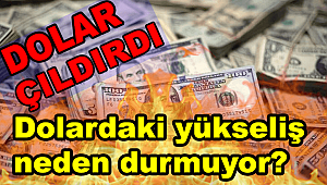 Dolardaki yükseliş neden durmuyor? Dolar ne kadar, kaç TL?