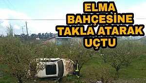 Karaman-Mersin Yolunda Lüks Araç Takla Attı: 1 Yaralı