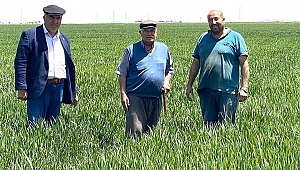 Karaman Ziraat Odası Başkanı Bayram'ın üretici ziyaretleri sürüyor
