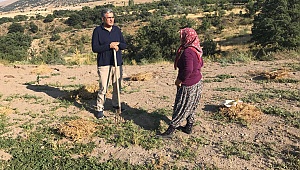 KONUK: TARIM SEKTÖRÜ, EKONOMİNİN SIFIR MALİYETLİ KAYNAK BİRİKTİRMESİNİ SAĞLAR