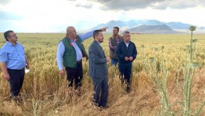 AK Parti Karaman Milletvekili Eser, dolu hasarını yerinde inceledi