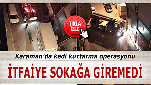 Karaman'da kediyi kurtarmak isteyen itfaiye ekipleri sokağa giremedi