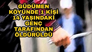 Karamanda 14 yaşındaki çocuk 51 yaşındaki komşusunu bıçakladı