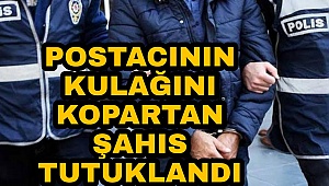 POSTACININ KULAĞINI ISIRARAK KOPARTAN ŞAHIS TUTUKLANDI