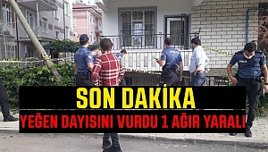 Son Dakika :Yeğen Dayısına Kurşun Yağdırdı 1 Ağır Yaralı