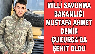 MUSTAFA AHMET DEMİR HAKKARI ÜST BÖLGESİNDE SEHİT EDİLMİŞ