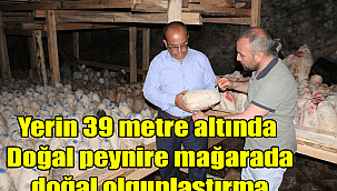 Yerin 39 metre altında Doğal peynire mağarada doğal olgunlaştırma