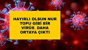 Yine Çin ! Koronadan daha tehlikeli bir Virüs ortaya çıktı