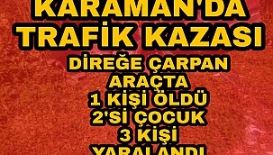AVGAN YAYLASINDA OTOMOBİL DİREĞE ÇARPTI: ANNE HAYATINI KAYBETTİ EŞİ VE 2 ÇOCUĞU YARALI