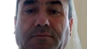 Cevizleri çırpmak için çıktığı ağaçtan düşüp hayatını kaybetti