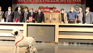 KÖYÜMDE YAŞAMAK İÇİN BİR SÜRÜ NEDENİM VAR