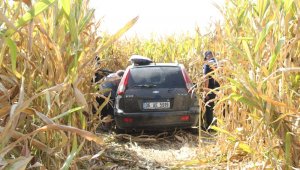 Yoldan çıkan otomobil mısır tarlasına uçtu: 3 yaralı