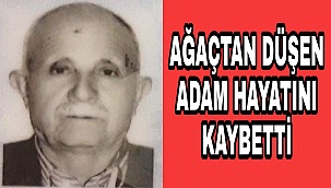 Karaman'da Agactan düşen yaşli adam hayatini kaybetti