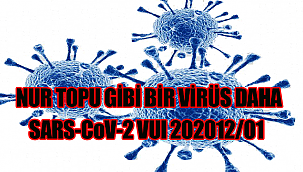 İşte Yeni Virüsün ismi: Variant Under Investigation, year 2020, month 12, variant 01