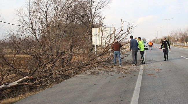 Karaman'da şiddetli rüzgar ağaçları devirdi