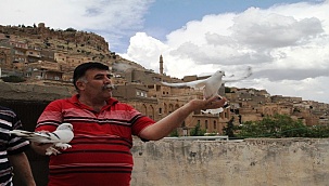 Güvercinlerin Messi'si Ronaldo'su Mardin'de!