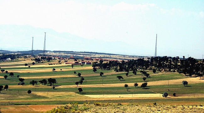 Lale Köyü Karantinaya Alındı