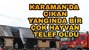 KARAMAN'DA ÇIKAN YANGININDA BİR ÇOK KÜÇÜK VE BÜYÜK BAŞ HAYVAN TELEF OLDU