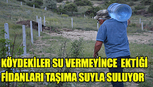 LALE KÖYÜNDE