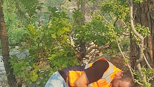Karaman İl Özel İdaresi personeli Yasin Zahma baba oldu