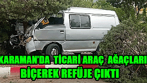 KARAMAN'DA BİR ARAÇ AĞAÇLARI BİÇEREK REFÜJE ÇIKTI