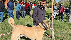 Güzellik Yarışmasında Birinciliği Kapan Canpolat Karaman'ı Temsil Etti