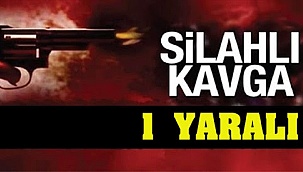 KARAMAN'DA MANAV, SEYYAR KAVUNCUYU SİLAHLA VURDU