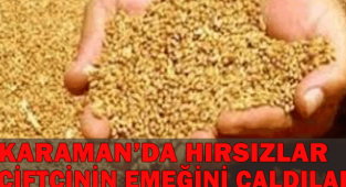 KARAMAN'DA ÇİFTÇİNİN EVİNDEN MISIR VE BUĞDAY ÇALINDI