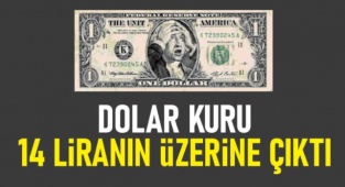 Dolar 14 TL'yi aştı