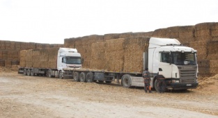 100 bin çiftçiye 250 milyon liralık ek gelir imkanı sağlanacak