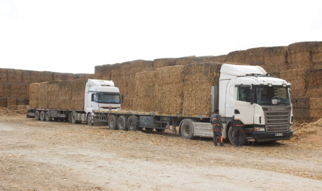 100 bin çiftçiye 250 milyon liralık ek gelir imkanı sağlanacak