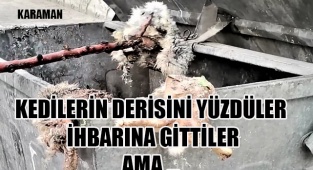 Karaman'da 'Kedilerin derisini yüzdüler' ihbarına giden polis tavşan derisi buldu