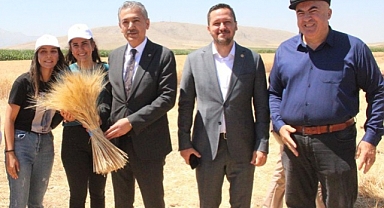 Karaman Valisi Tuncay Akkoyun Buğday hasadına katıldı