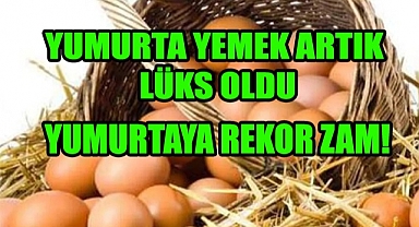 Yumurtaya Rekor Zam!