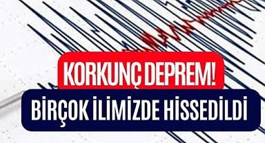 Düzce'de 5.9 şiddetinde deprem