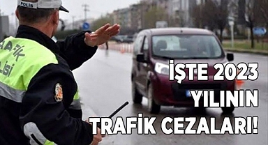 Aman Dikkat! Trafik Polisine alkol testi için itiraz eden sürücü 8 bin 551 TL ödeyecek