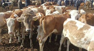 Ereğli'de Bir Mahalle Karantina altına alındı