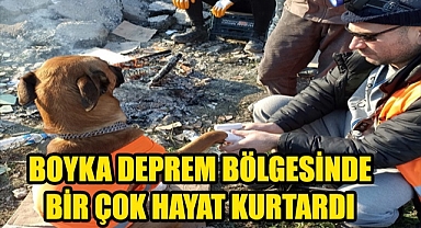 Karaman'dan Hatay'a Arama Kurtarma Çalışmalarına Katılan Özel Eğitimli Boyka isimli Köpek Hayat Kurtarıyor