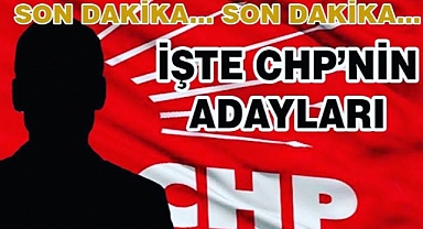 Chp'nin Karaman Milletvekili Adayları Belli oldu