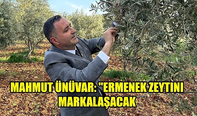 Mahmut Ünüvar: ''Ermenek zeytini markalaşacak