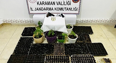 Karaman'da özel tüplere ekilmiş kenevir ele geçirildi